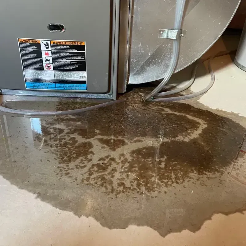 Appliance Leak Cleanup in Jones County, IA